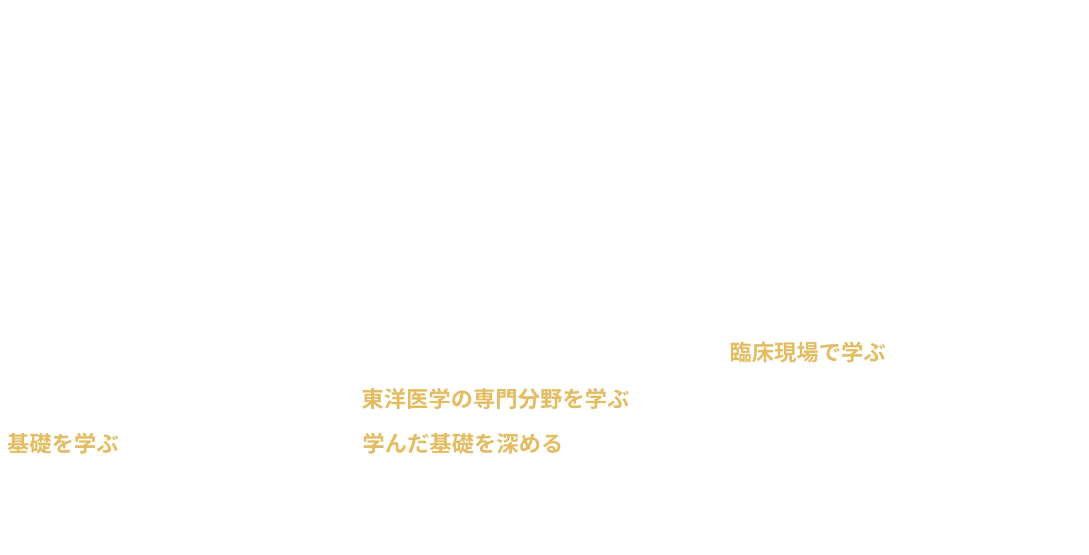 3年間のカリキュラム